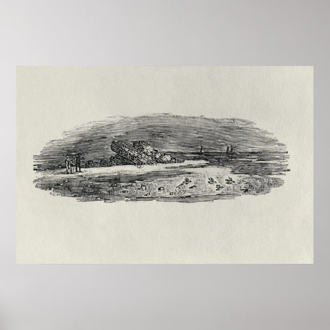 Poster Rochers avec expédition côtière, (Devant)