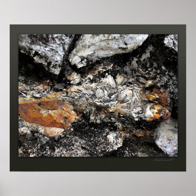 Poster Rockface 118 Art Print -24x20 -autres tailles égal (Devant)