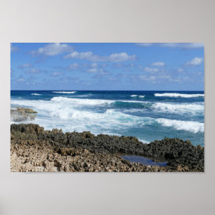 Poster Rocky Bahamas Beach, Great Abaco Island