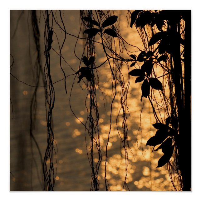Poster romantique du coucher de soleil (Devant)