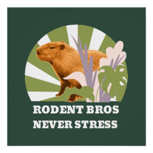 Poster Rongeurs Frères Ne Stressez Jamais Capybara