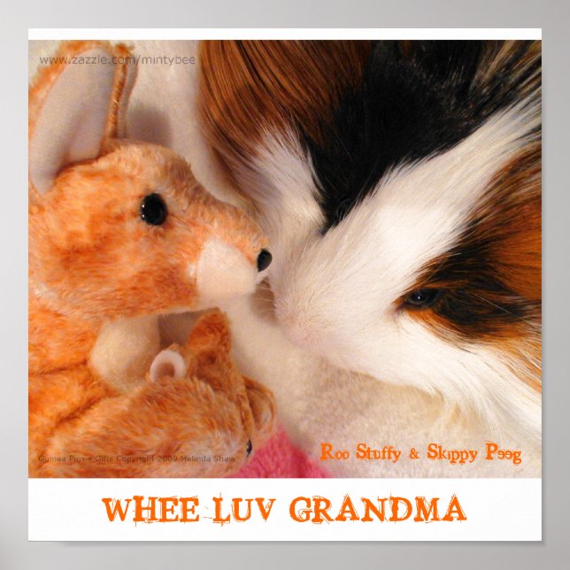 Poster Roo Stuffy & Skippy Peeg (Devant)