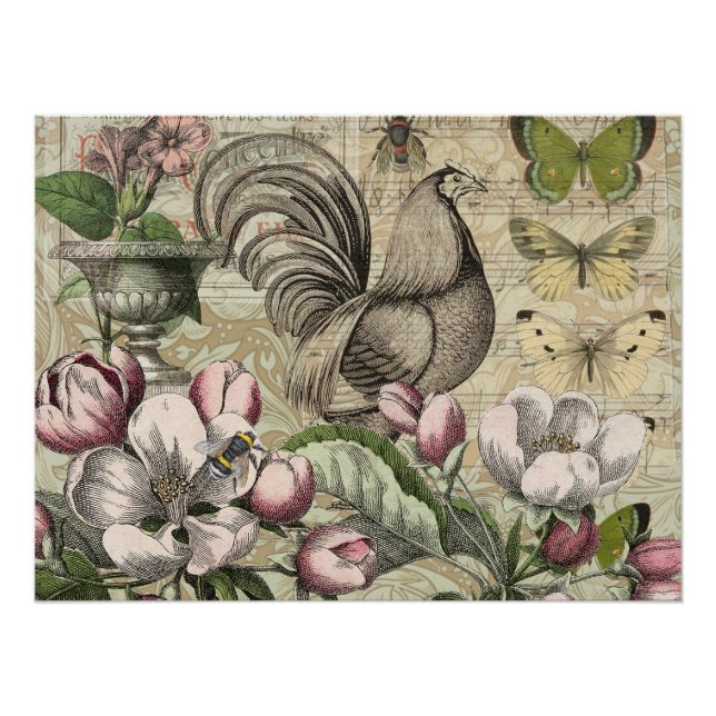 Poster Rooster Garden Flower Papillon Art (Devant)