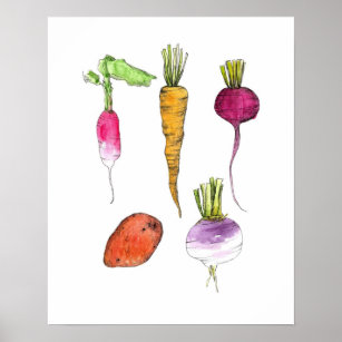 Poster Root Vegetables Watercolor Ink Kitchen Art