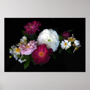 Poster Rose à l'ancienne