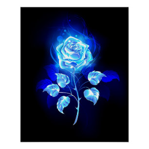Poster Rose bleu brûlant