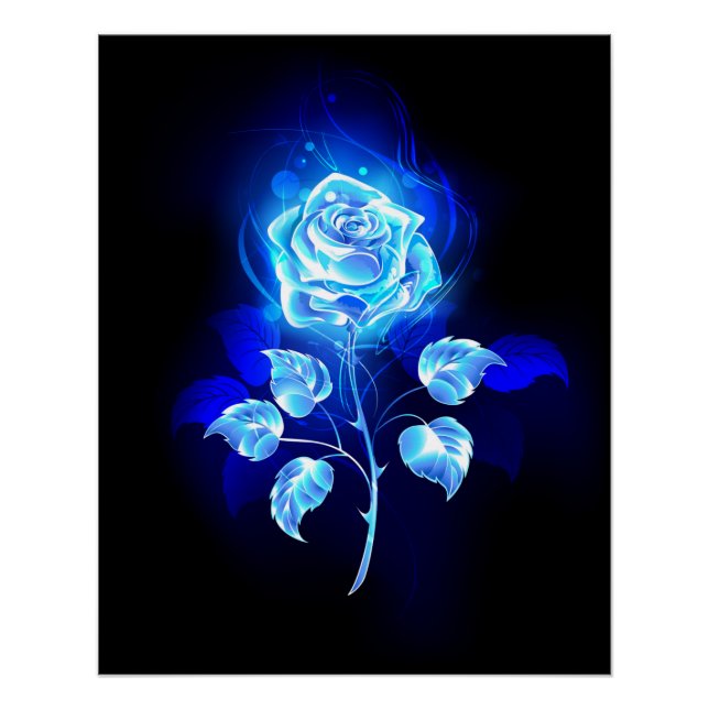 Poster Rose bleu brûlant (Devant)