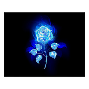 Poster Rose bleu brûlant