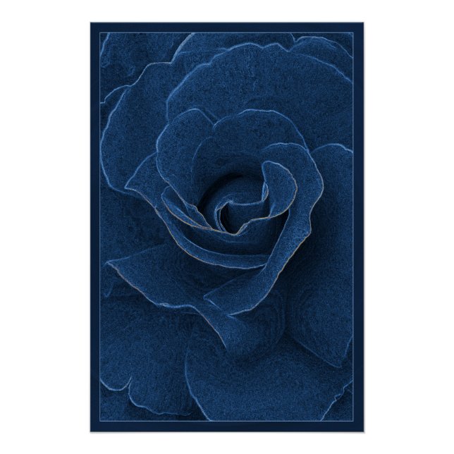 Poster Rose bleu velours (Devant)