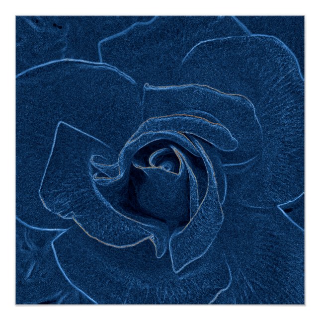 Poster rose bleu velouté (Devant)