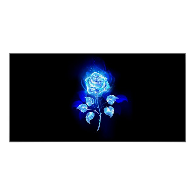 Poster Rose Bleue Brûlante (Devant)
