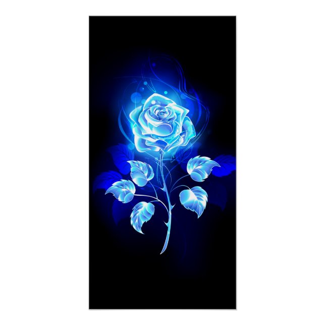 Poster Rose Bleue Brûlante (Devant)