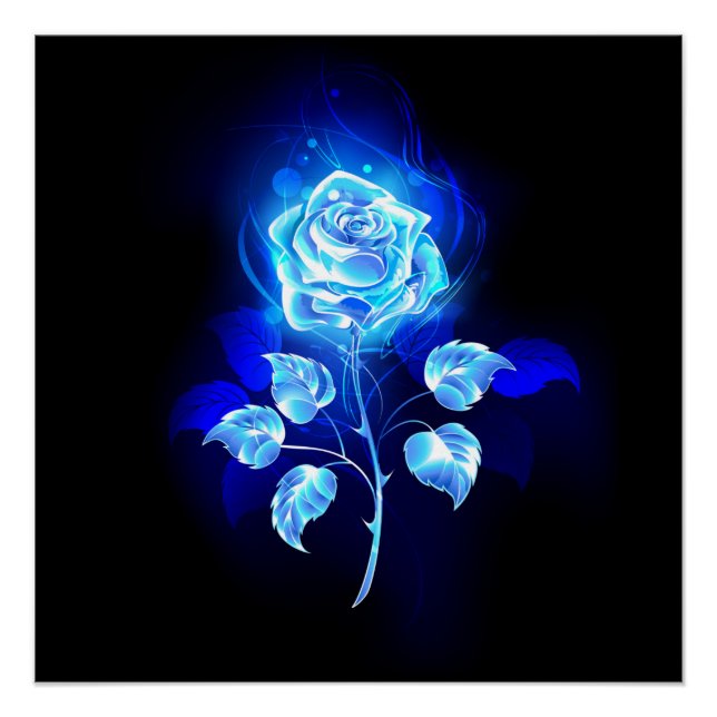 Poster Rose bleue brûlante (Devant)