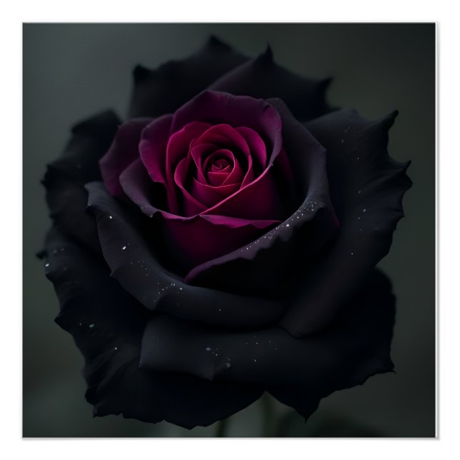 Poster Rose Cœur Noir  (Devant)