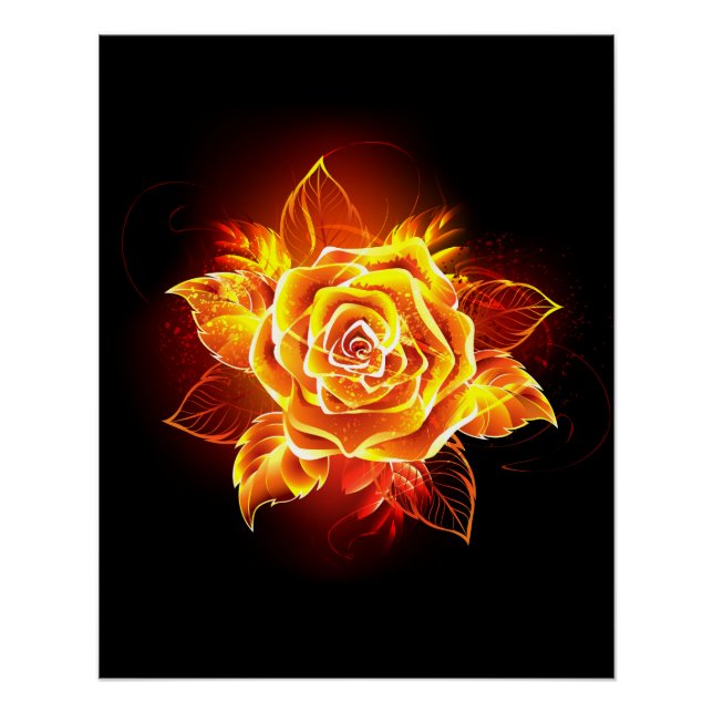 Poster Rose de feu en fleurs (Devant)