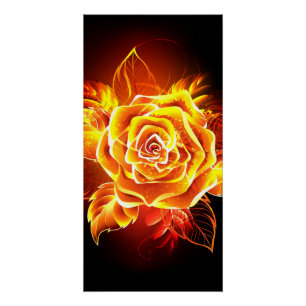 Poster Rose de feu en fleurs