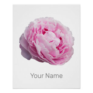 Poster Rose De Fleur Et Amoureux des jardins En Fleur De