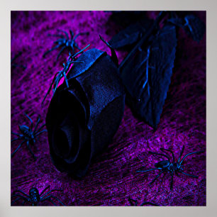 Poster Rose éffrayant en matière noire, araignées noires