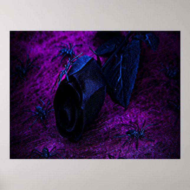 Poster Rose en matériau noir effrayant, araignées noires (Devant)