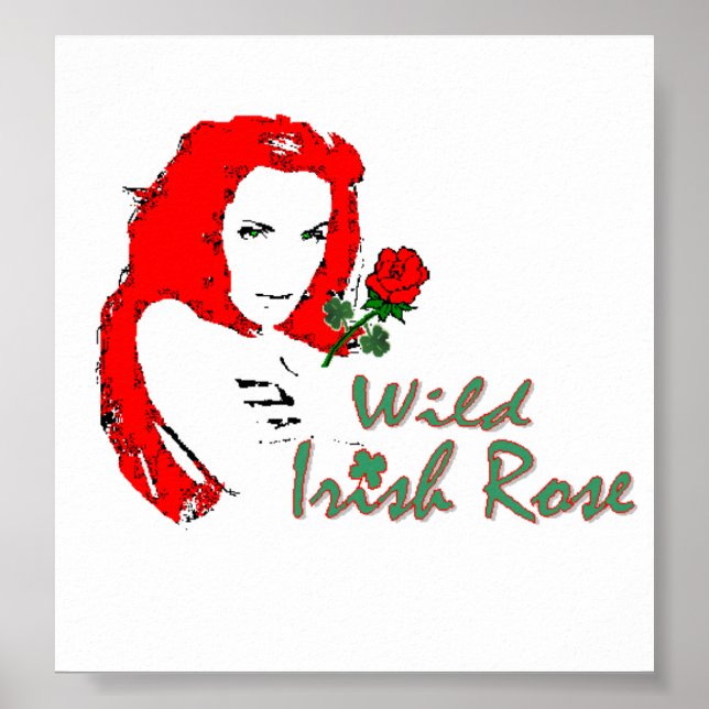 Poster Rose irlandais sauvage (Devant)
