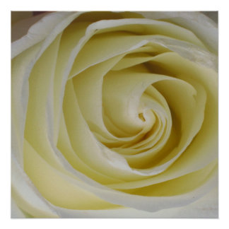 Poster rose jaune imprimé