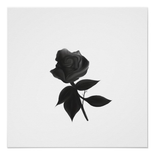 Poster Rose noire (Devant)
