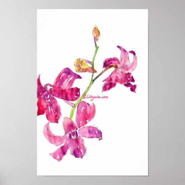 Poster rose Orchidée Baby Floral Sketch Imprimer (Devant)