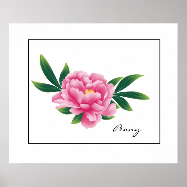 Poster rose Peony (Devant)