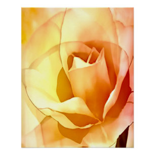 Poster rose rose rose jaune Aquarelle Style brilla