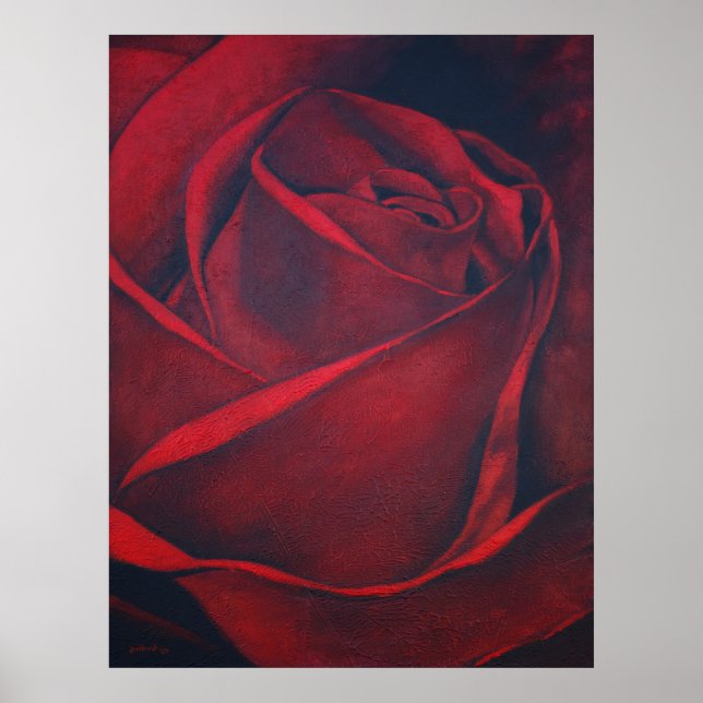 Poster Rose rouge (Devant)