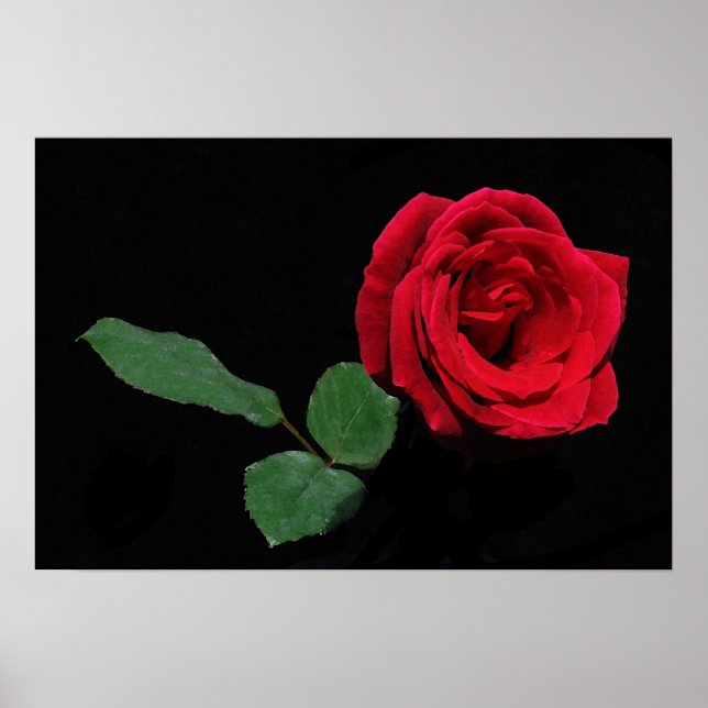 Poster Rose rouge simple (Devant)