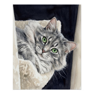 Poster Rose un chat aux yeux verts saisissants