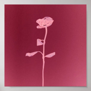 POSTER ROSE UNIQUE
