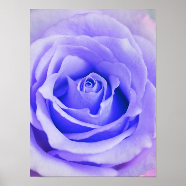 Poster Rose violet Arrière - plan Customisé Lavender Blan (Devant)