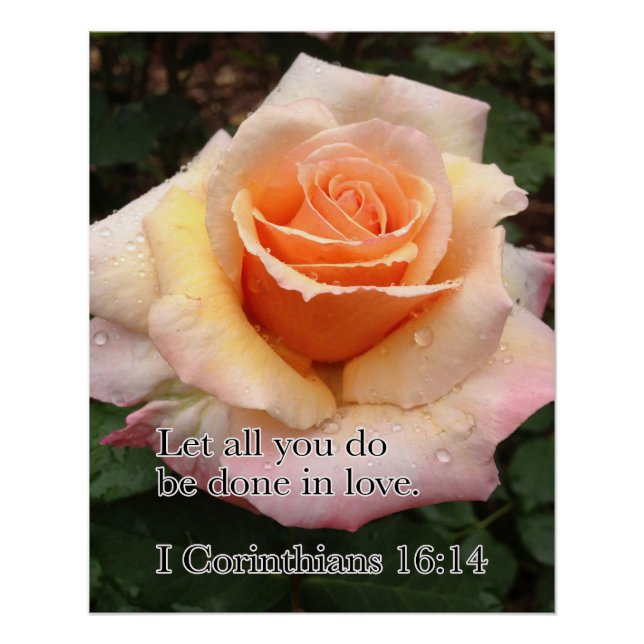 Poster Rose WET AVEC AMOUR (Devant)