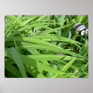 Poster Rosée du matin