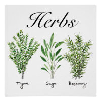 Rosemary Herbes de Sage de thym Cuisine culinaire 