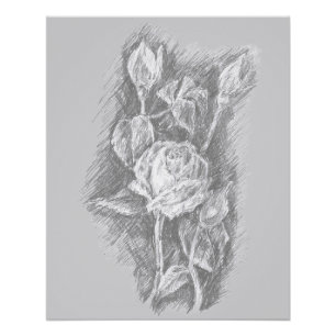 Poster Roses