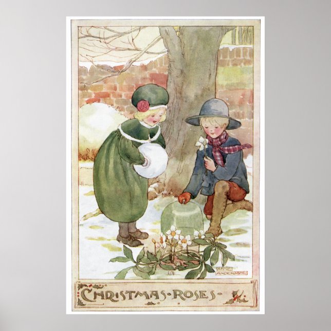 Poster Roses de Noël par Anne Anderson (Devant)