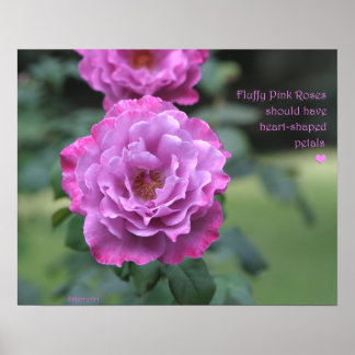Poster Roses Roses Roses Roses Fluffy : ROSE & PRO