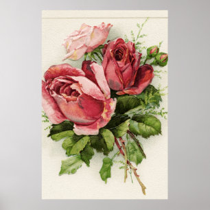 Poster Roses vintages d'antiquité d'art