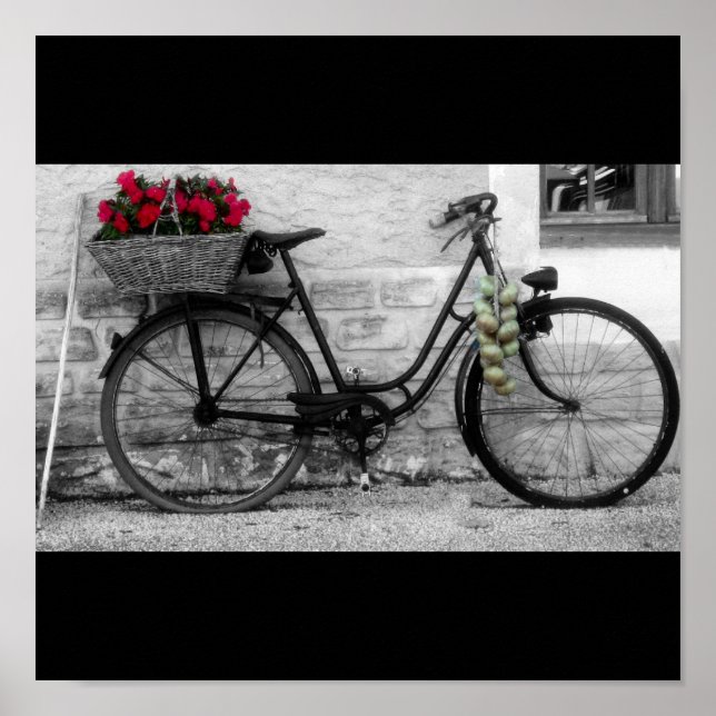 Poster Roues et oignons français (Devant)