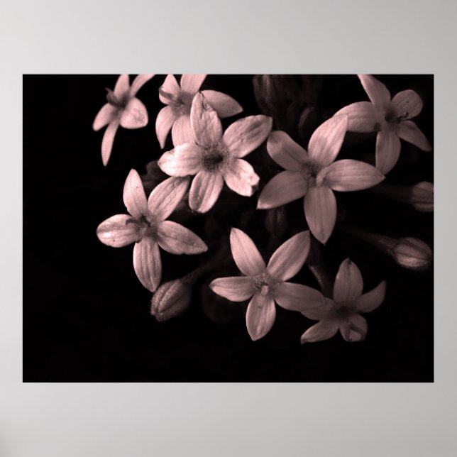 Poster rouge (Devant)