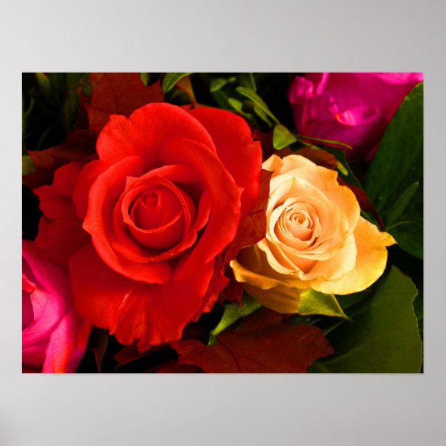 Poster rouge rose jaune (Devant)