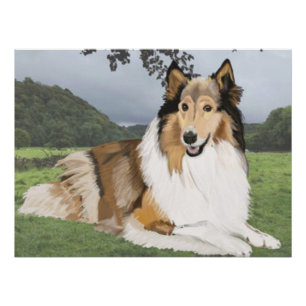 Poster Rough Collie contre les Yorkshire Dales