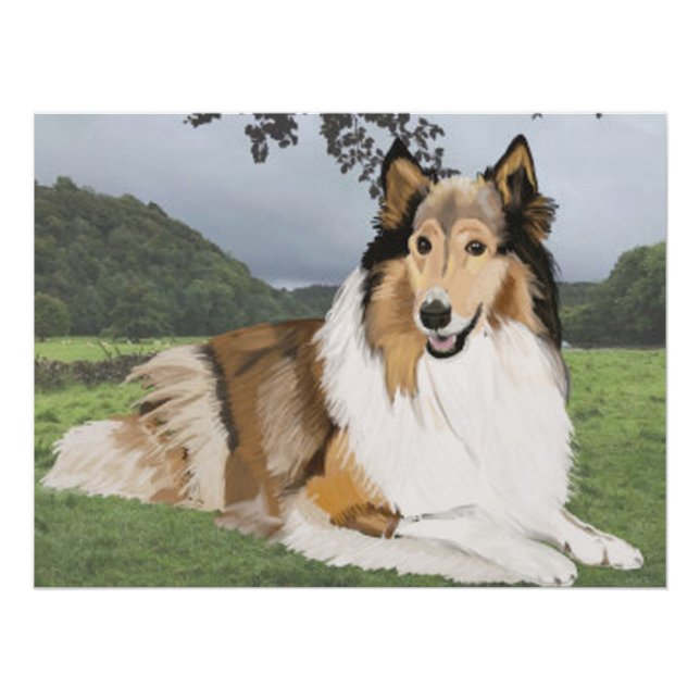 Poster Rough Collie contre les Yorkshire Dales (Devant)
