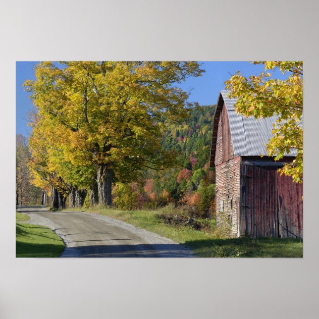 Poster Route à côté d'une grange / ferme rurale classique (Devant)