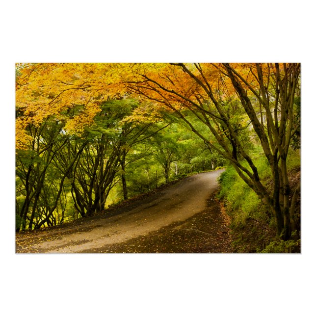 Poster Route de la campagne à l'automne (Devant)