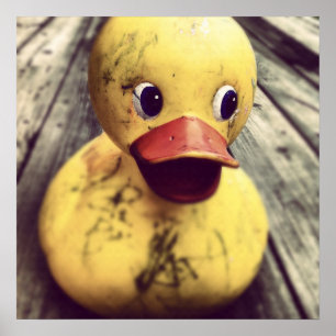 Poster Rubber Jaune Ducky a besoin d'un bain !