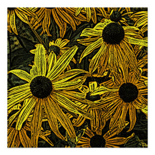 POSTER RUDBECKIAS